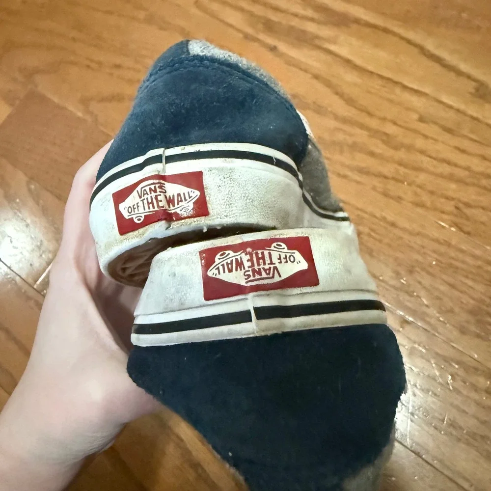 Vans iconic skate